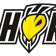 SORRISO HORNETS